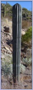 Spear Image